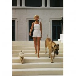 Jonathan Adler UK Slim Aarons "C.Z. Guest" Photograph