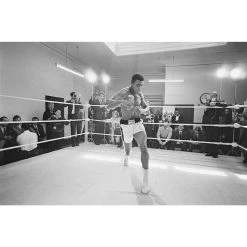Jonathan Adler UK "Ali In Training" From Getty Images