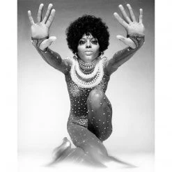 Jonathan Adler UK Art "Diana Ross Portrait" From Getty Images