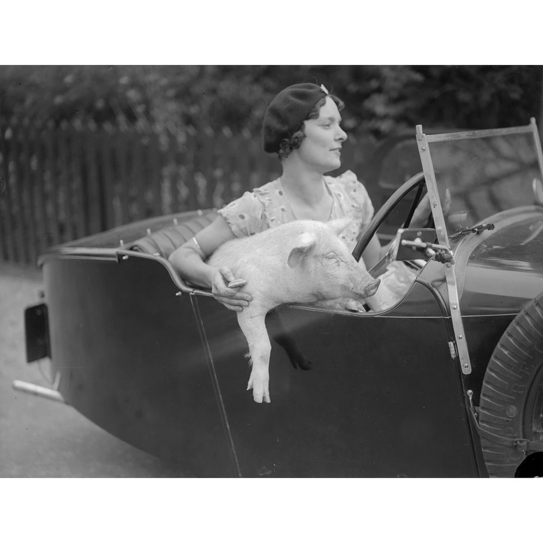 Jonathan Adler UK Art "1st Class Travel" From Getty Images