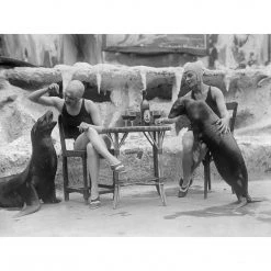 Jonathan Adler UK Art "Animal Friends" From Getty Images