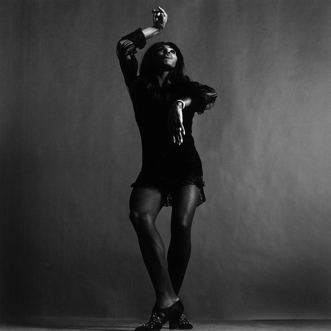 Jonathan Adler UK Art "Tina Turner, Hand Above Head" From Getty Images